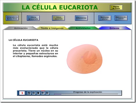 La célula_eucariota